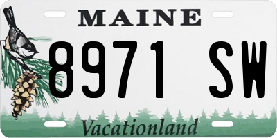 ME license plate 8971SW