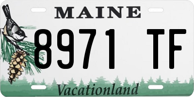 ME license plate 8971TF