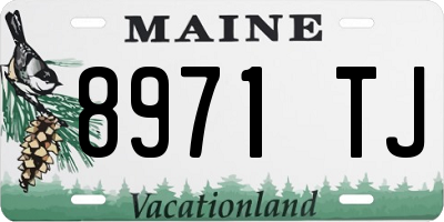 ME license plate 8971TJ