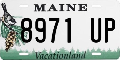 ME license plate 8971UP