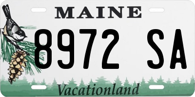 ME license plate 8972SA