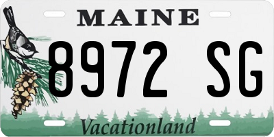 ME license plate 8972SG