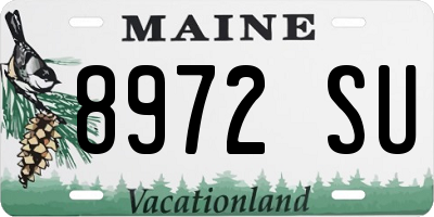 ME license plate 8972SU