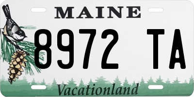 ME license plate 8972TA