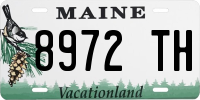 ME license plate 8972TH
