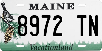 ME license plate 8972TN