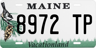 ME license plate 8972TP