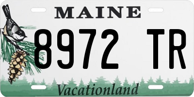 ME license plate 8972TR