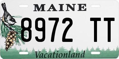 ME license plate 8972TT