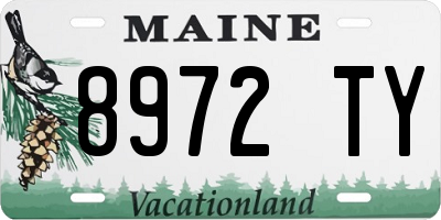 ME license plate 8972TY