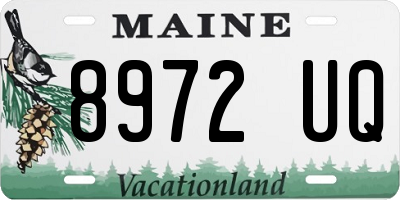 ME license plate 8972UQ