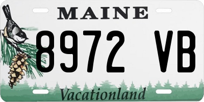ME license plate 8972VB