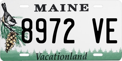 ME license plate 8972VE