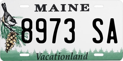 ME license plate 8973SA