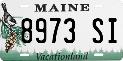 ME license plate 8973SI