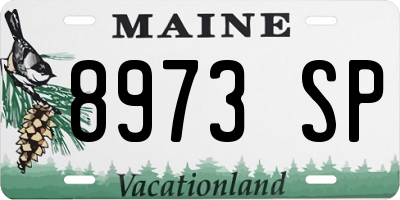 ME license plate 8973SP