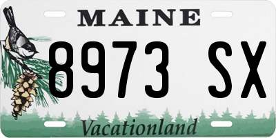 ME license plate 8973SX