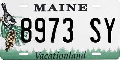 ME license plate 8973SY