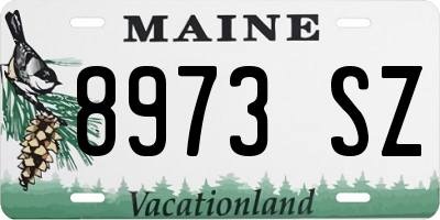 ME license plate 8973SZ
