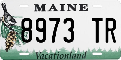 ME license plate 8973TR