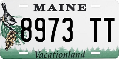 ME license plate 8973TT