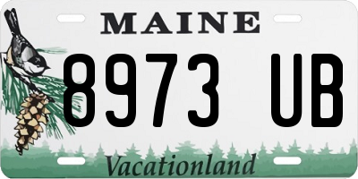 ME license plate 8973UB