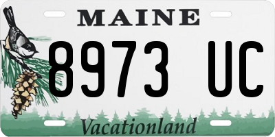 ME license plate 8973UC