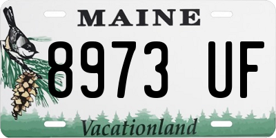 ME license plate 8973UF