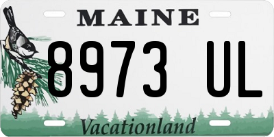 ME license plate 8973UL
