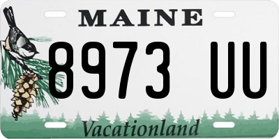 ME license plate 8973UU