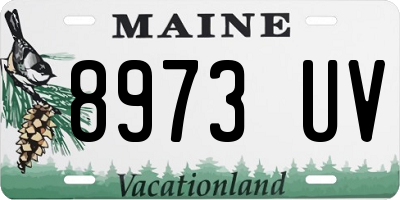 ME license plate 8973UV