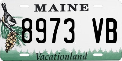 ME license plate 8973VB