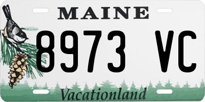 ME license plate 8973VC
