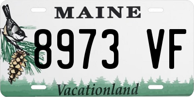 ME license plate 8973VF