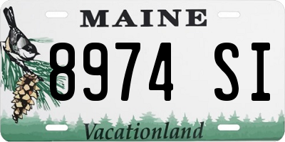 ME license plate 8974SI