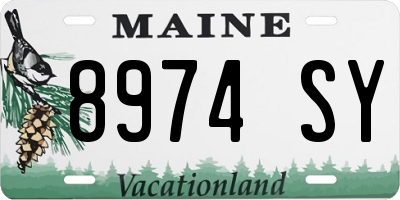 ME license plate 8974SY