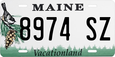 ME license plate 8974SZ