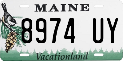 ME license plate 8974UY