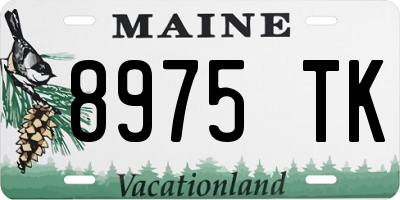ME license plate 8975TK