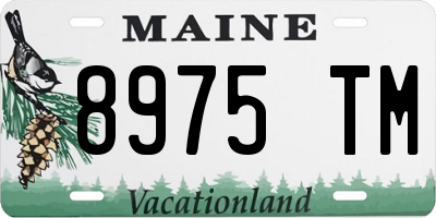 ME license plate 8975TM