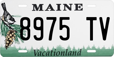 ME license plate 8975TV