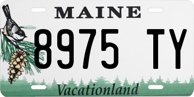 ME license plate 8975TY