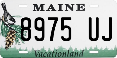 ME license plate 8975UJ