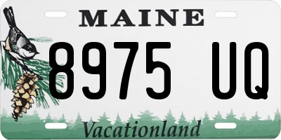 ME license plate 8975UQ