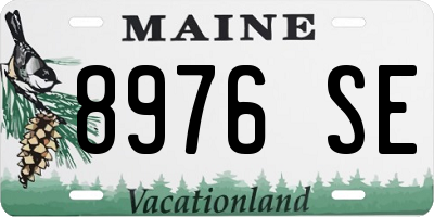 ME license plate 8976SE