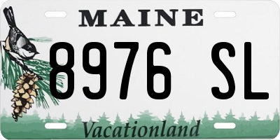 ME license plate 8976SL