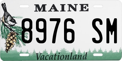 ME license plate 8976SM