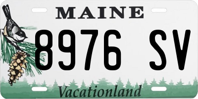 ME license plate 8976SV