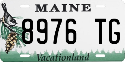 ME license plate 8976TG