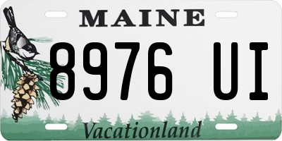 ME license plate 8976UI
